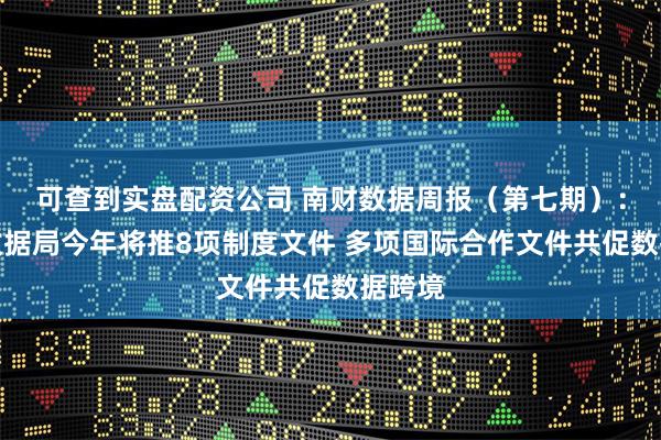 可查到实盘配资公司 南财数据周报（第七期）：国家数据局今年将推8项制度文件 多项国际合作文件共促数据跨境