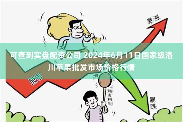 可查到实盘配资公司 2024年6月11日国家级洛川苹果批发市场价格行情