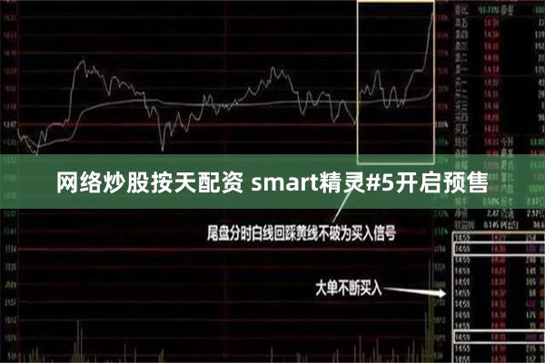 网络炒股按天配资 smart精灵#5开启预售